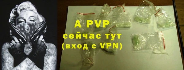 ГАЛЛЮЦИНОГЕННЫЕ ГРИБЫ Богданович