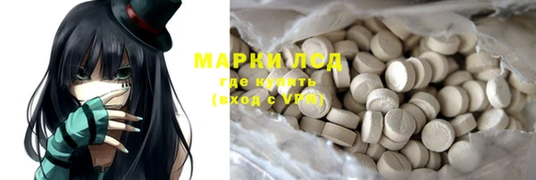 ГАЛЛЮЦИНОГЕННЫЕ ГРИБЫ Богданович