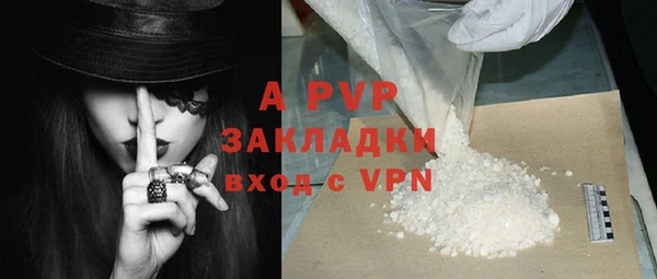 ECSTASY Богородицк