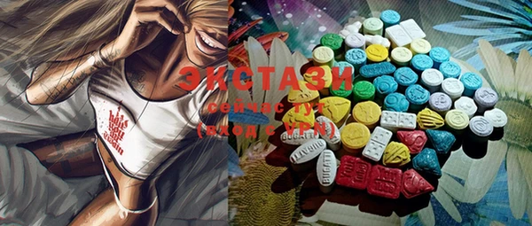 ECSTASY Богородицк