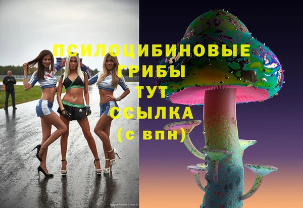 ГАЛЛЮЦИНОГЕННЫЕ ГРИБЫ Богданович