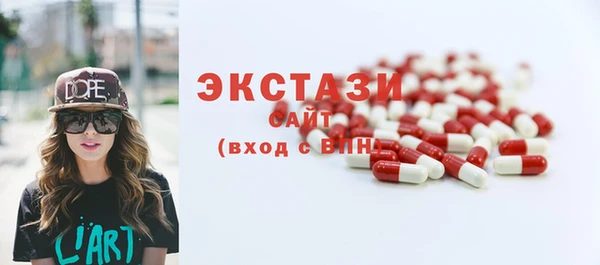 ECSTASY Богородицк