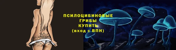 ГАЛЛЮЦИНОГЕННЫЕ ГРИБЫ Богданович