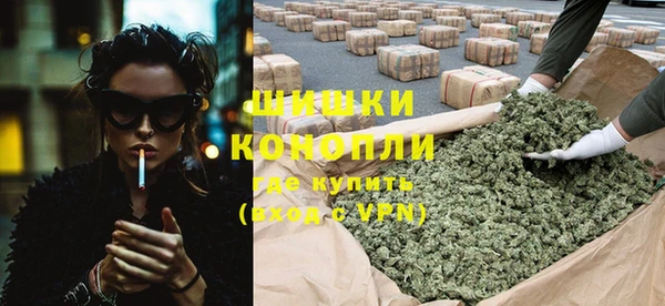 ГАЛЛЮЦИНОГЕННЫЕ ГРИБЫ Богданович