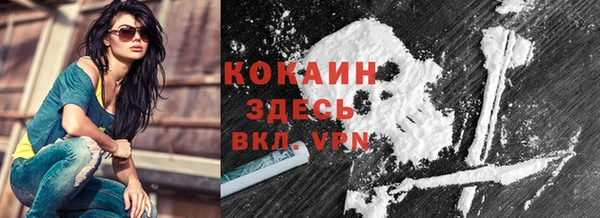 ECSTASY Богородицк