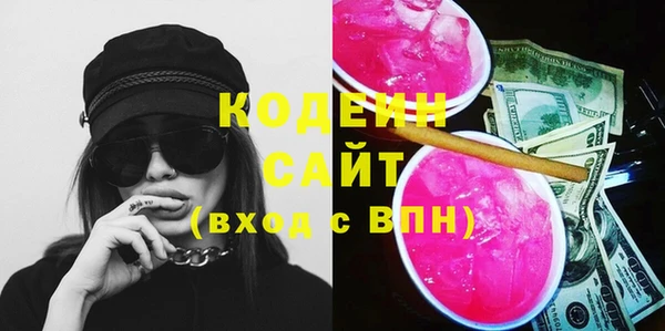 ГАЛЛЮЦИНОГЕННЫЕ ГРИБЫ Богданович