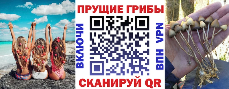 Галлюциногенные грибы GOLDEN TEACHER Вуктыл